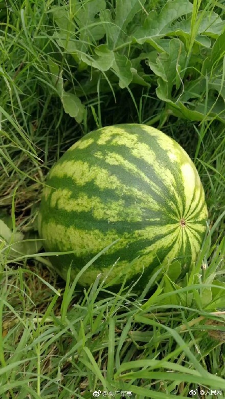 打开串黄色网站