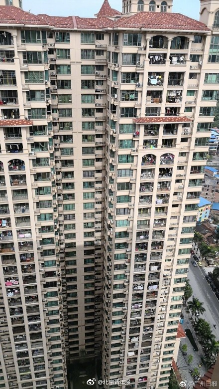 1042在线看黄片