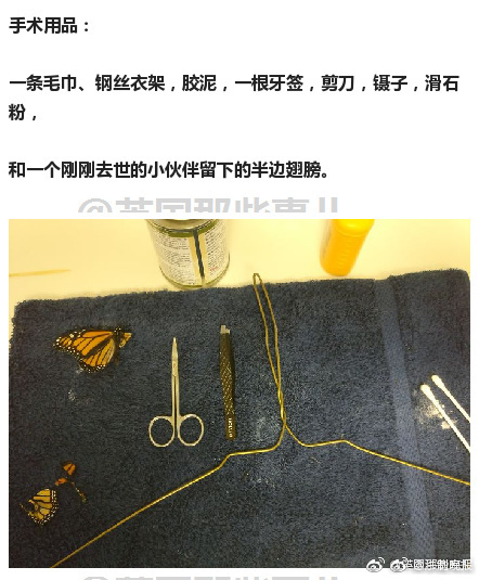 国产精品扒开腿做爽爽爽视频