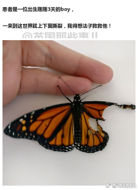 性爱永久免费视频