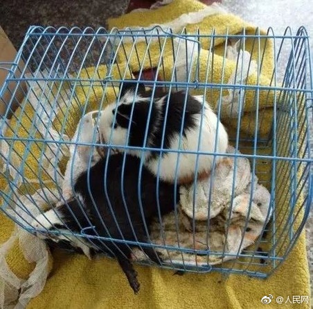 搜一个欧美三级片电影看看