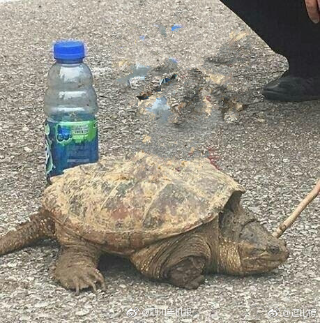 老师让我 她我爽了好久视频