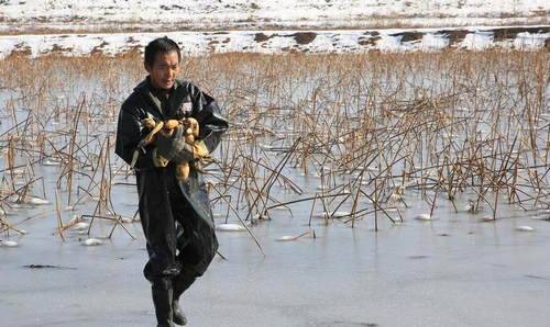 免费中国女明星黄片下载