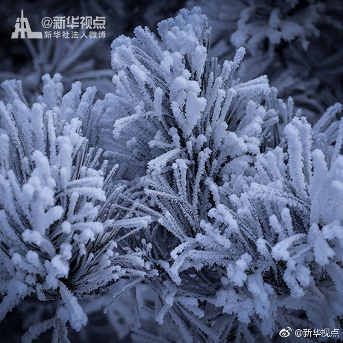 免费三 片60分钟却