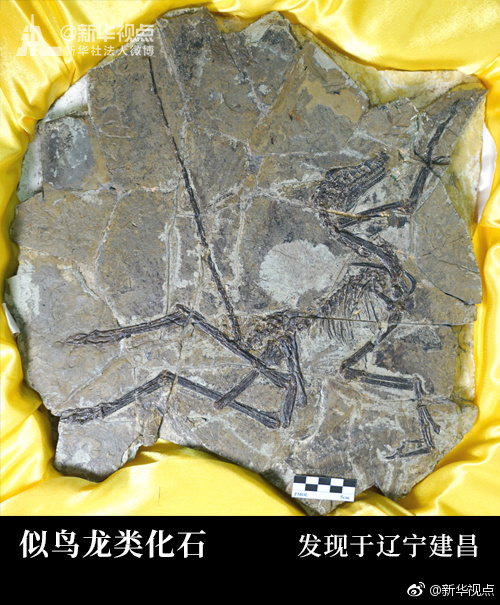 小乔被 到爽被爆衣小说