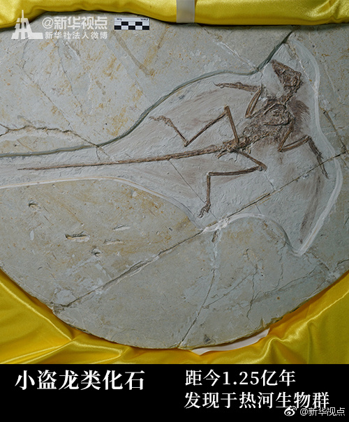 张柏芝高潮出白浆
