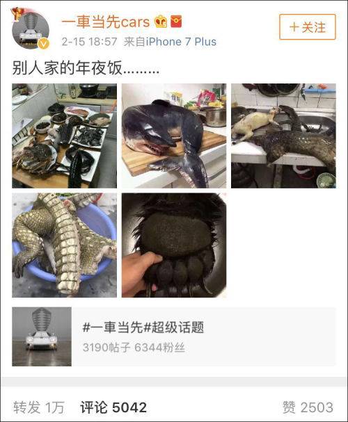 欧美高清性色三级视频
