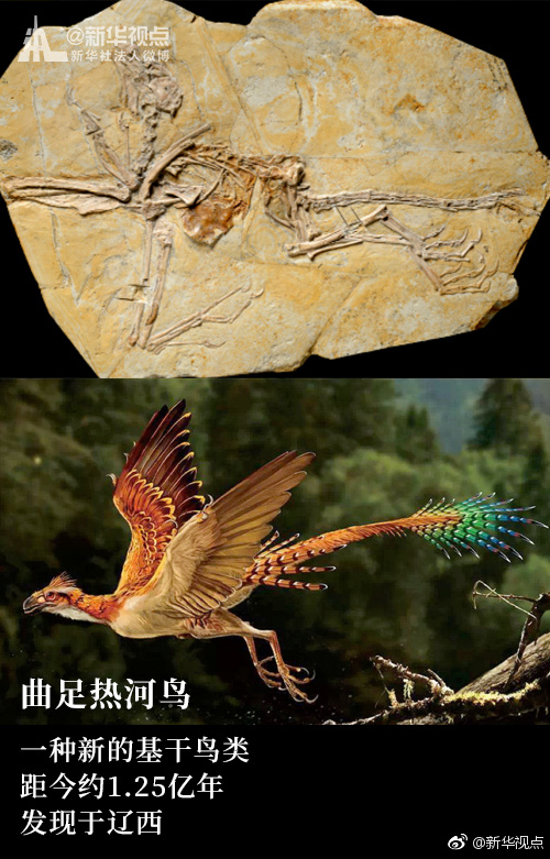 毛片传媒