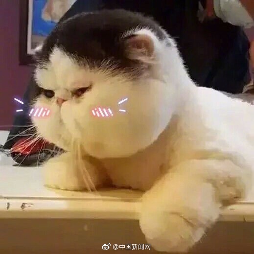 一级黄色录像片