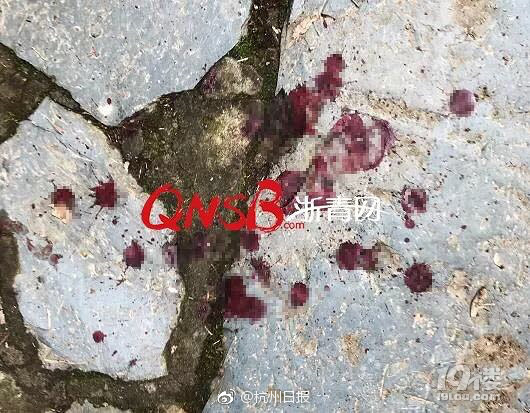 美女秘?免费裸体视频