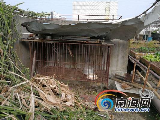 精品亚洲一区二区三区四区五区高