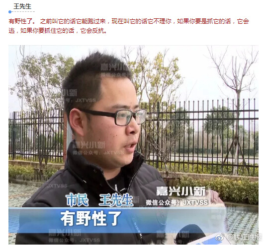 国产精品第一区