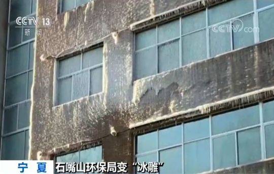 让我欣赏一下你的小森林