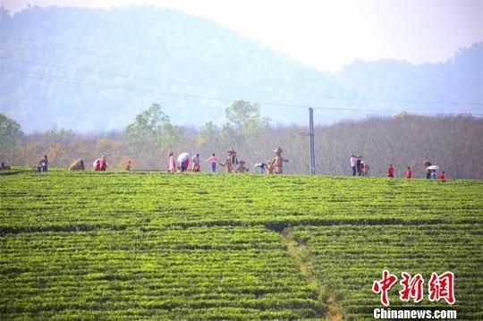 18禁黄色网站在线