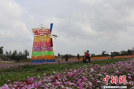 美国女人与狗操B视频