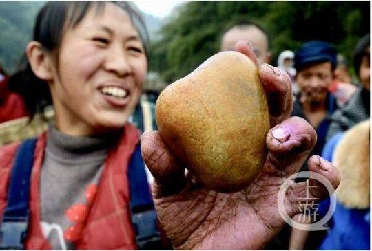 家庭伦理色情