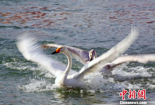 黄色一个黄色录像