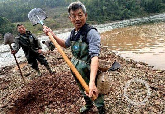 亚洲砖区区免费