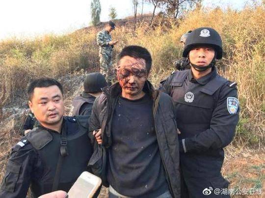 黄桃直播