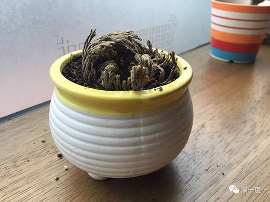 内地孕妇三级片