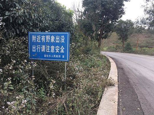 家家直播