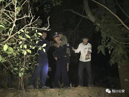 高清电影黄片