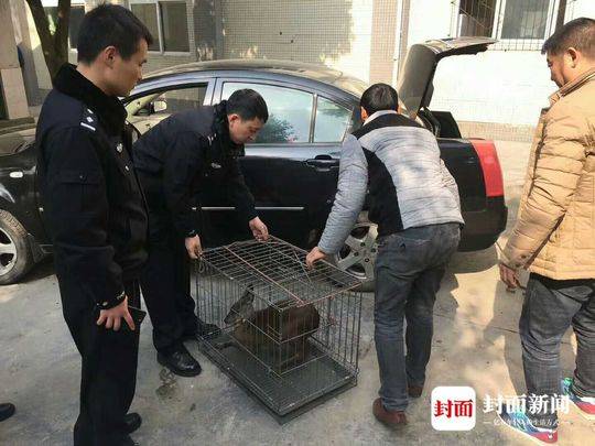刘琴一炕四女共侍一夫