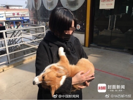 黄色网站、免费