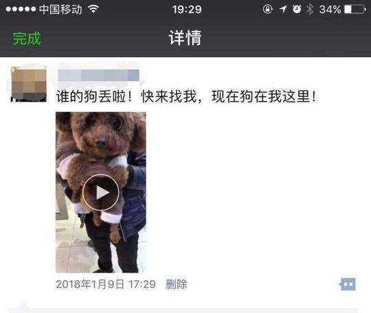 欧美淫秽视频网址免费