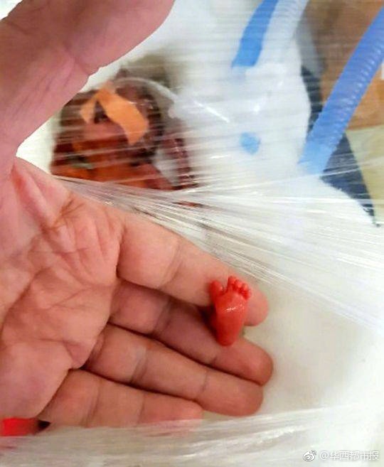 免费Av片黄片