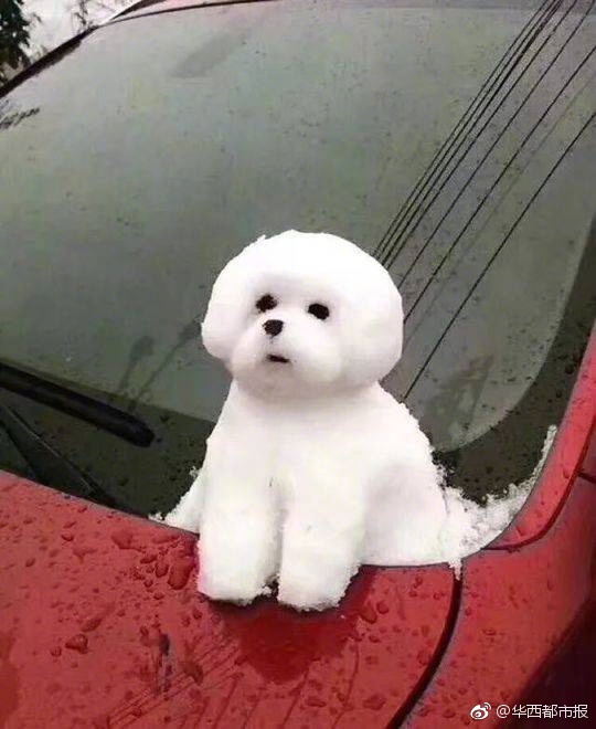 韓國霸凌