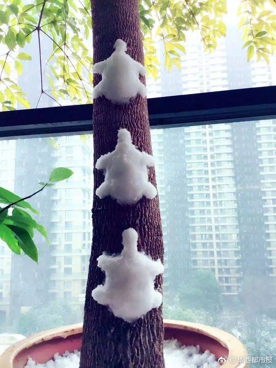 苍月女奥特曼被 到爽羞