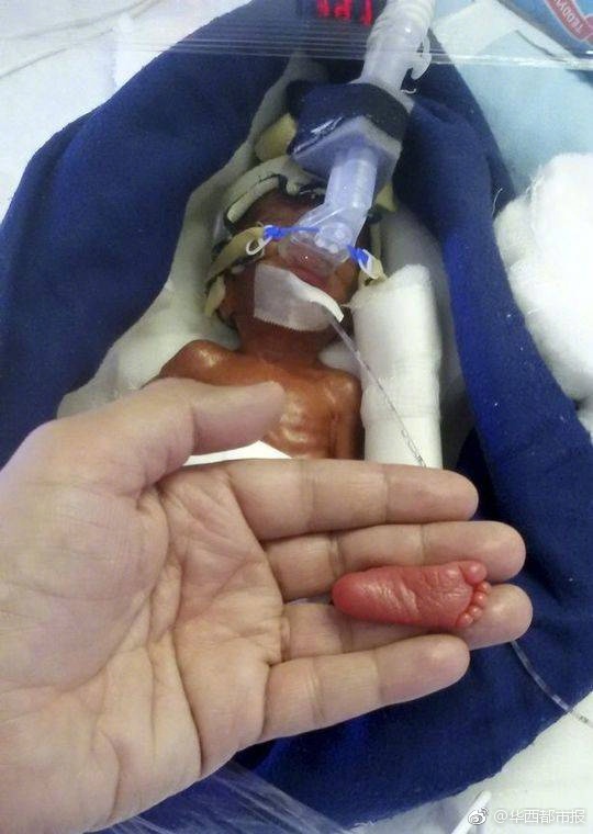老人交性视频播放