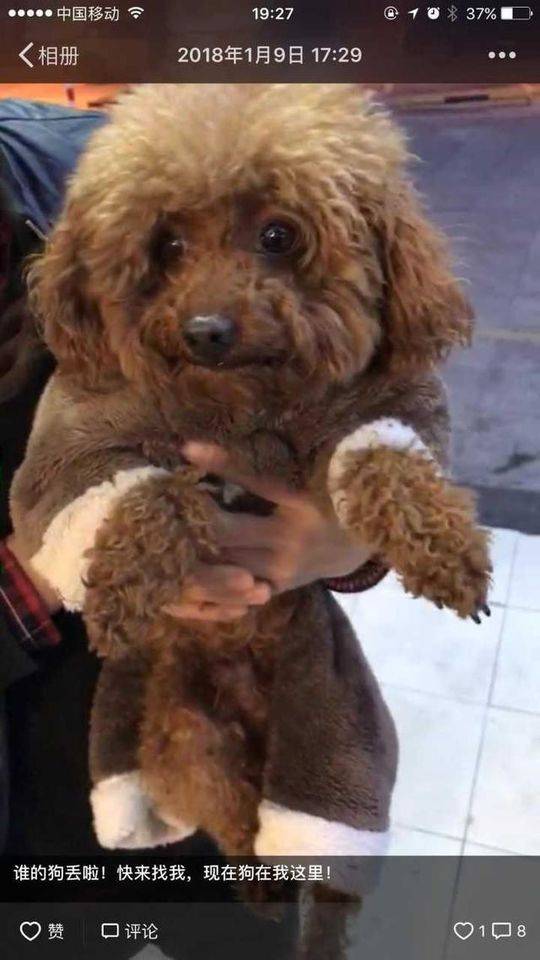 华人 色情