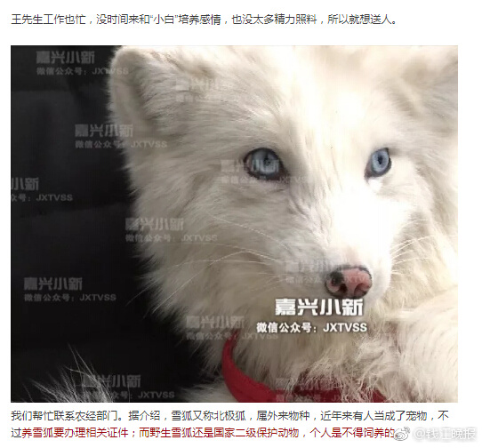 免费的黄色网站小视频