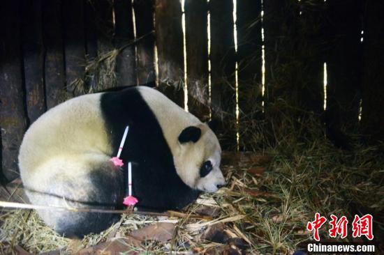 精品欧美
