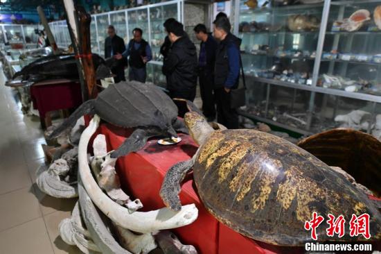 成年人黄色在线视频