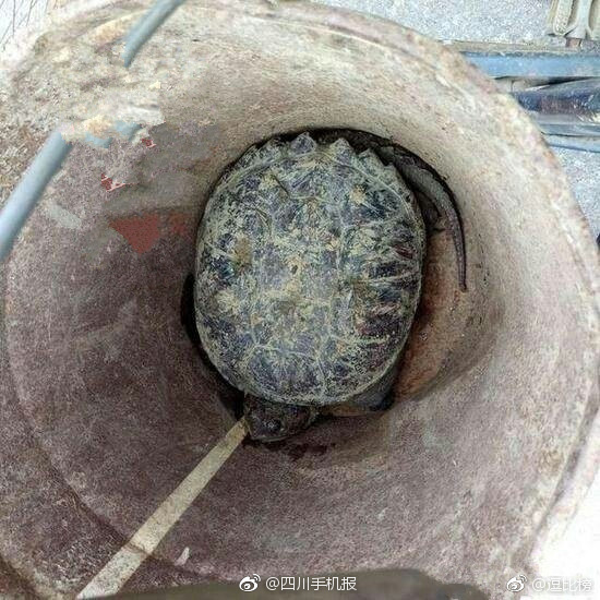 私人裸体模特小视频在线观看