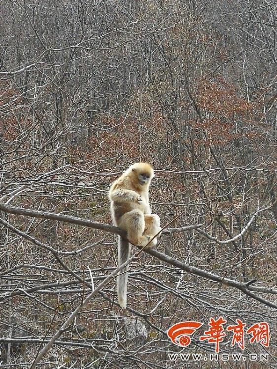免得看黄色视频