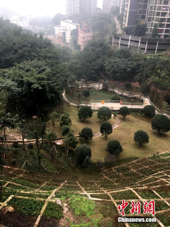 班长摘下奶罩 让我爽了小说