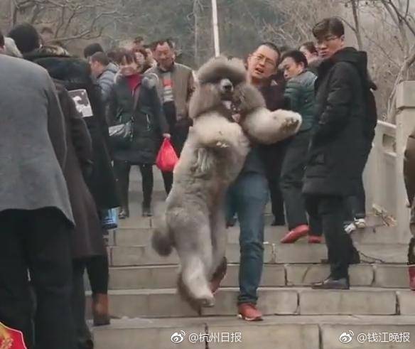 奶水丰满人妻Hd