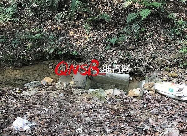 黄色 网站 免费