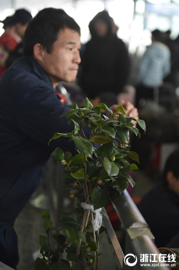 木村佳乃