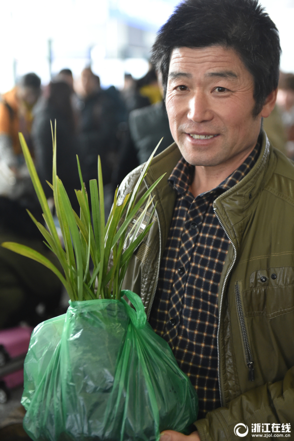 雷电将军乳液狂飙