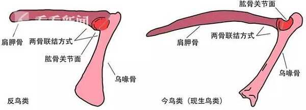 動漫舔陰