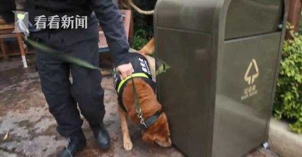 我看狗操女人逼