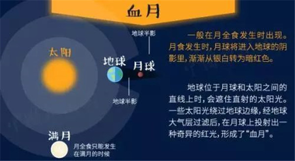 5G影院5g天天爽成人A片