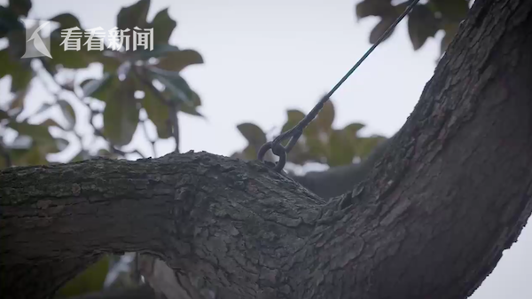 中国老头同性XXXXX
