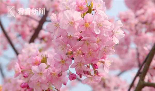日韩性爱无码网站