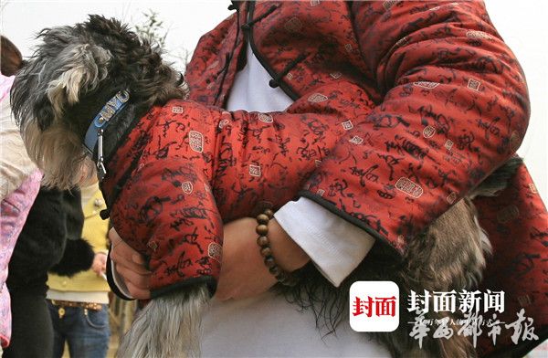 三及黄片